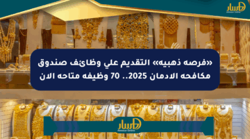 «فرصة ذهبية» التقديم على وظائف صندوق مكافحة الإدمان 2025.. 70 وظيفة متاحة الآن